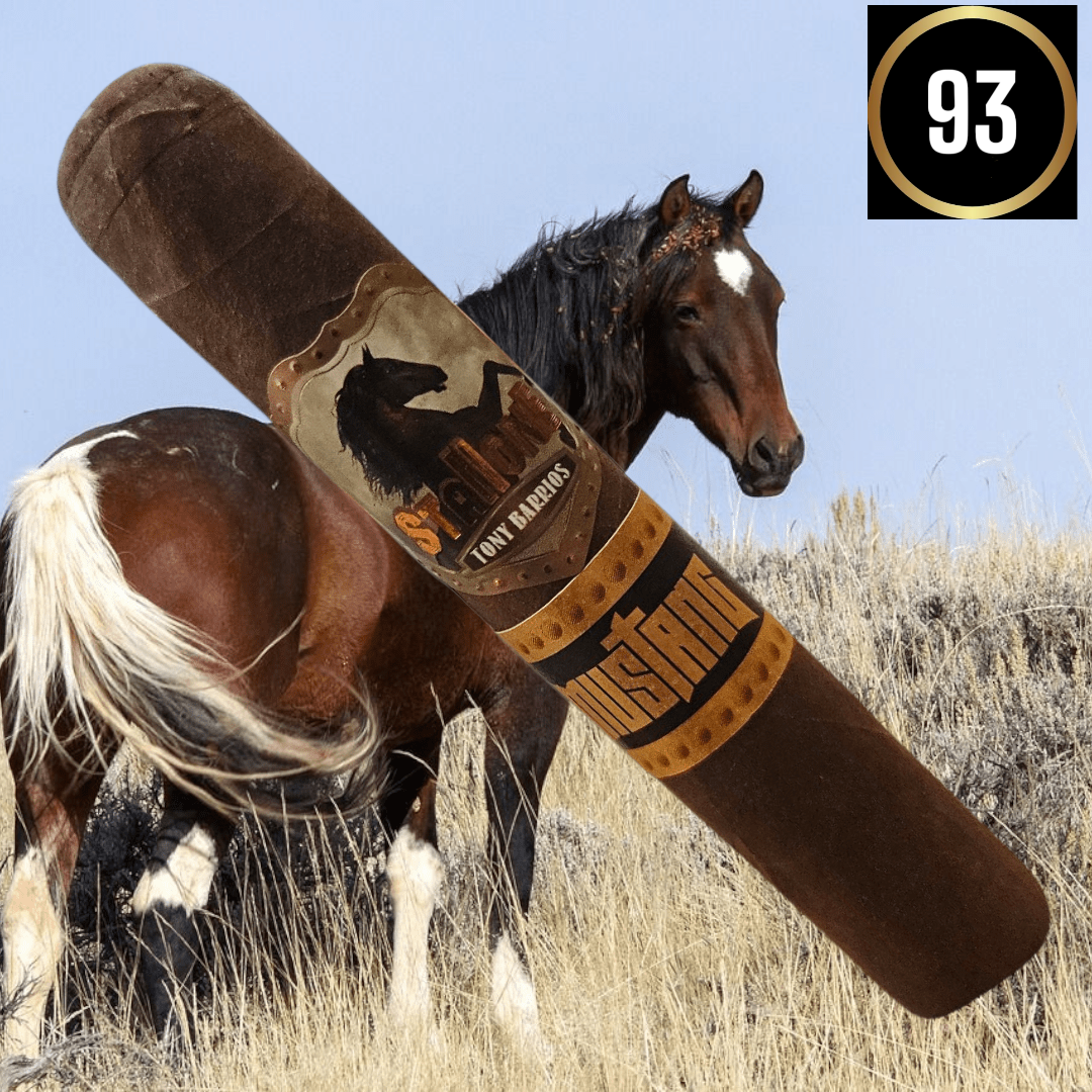 Stallone cigars Mustang Rothschild cigar rating 93